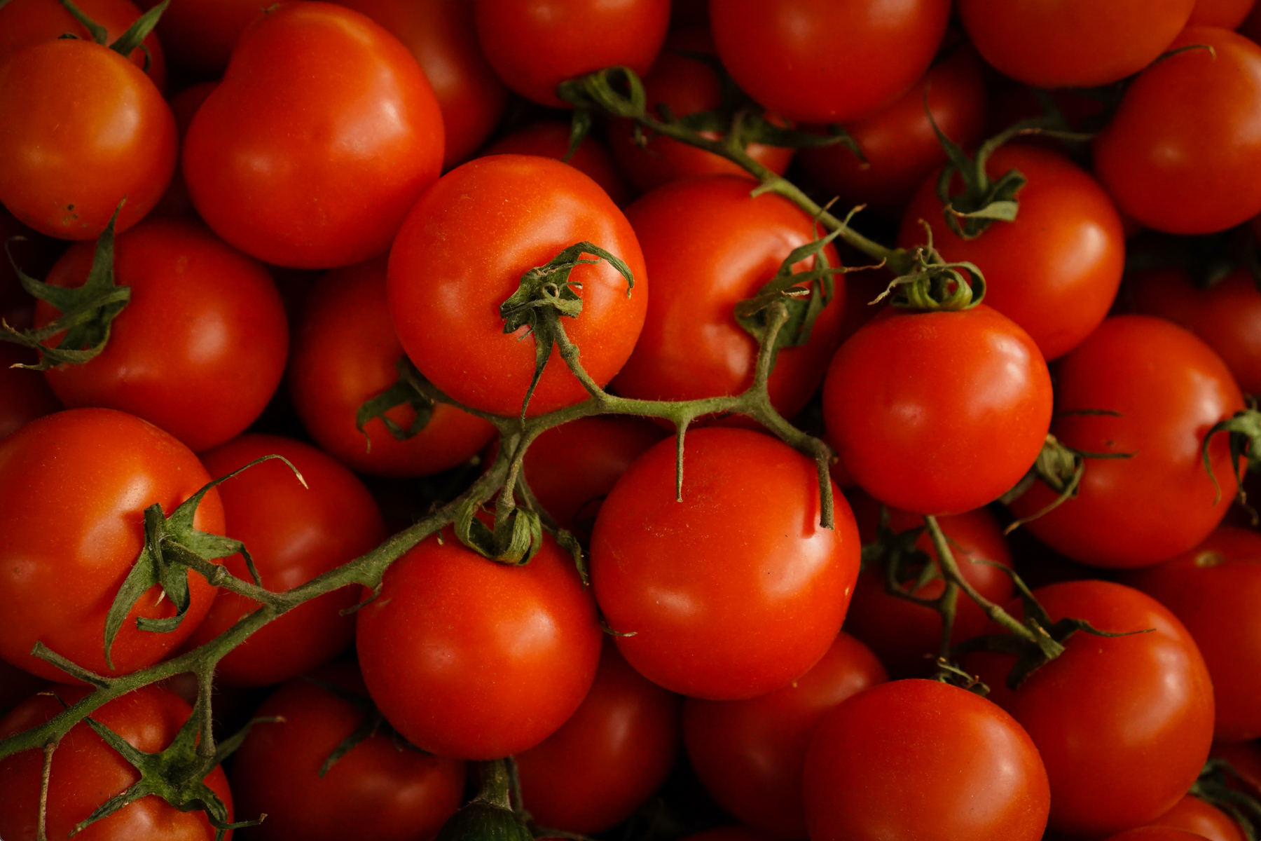 5 razones para incluir ingredientes orgánicos en tu restaurante